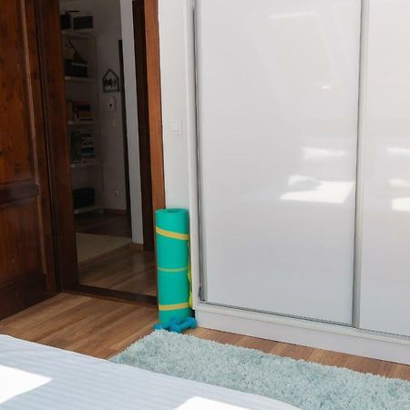 Cozy Flat In The Heart Of The City Oradea Exteriör bild
