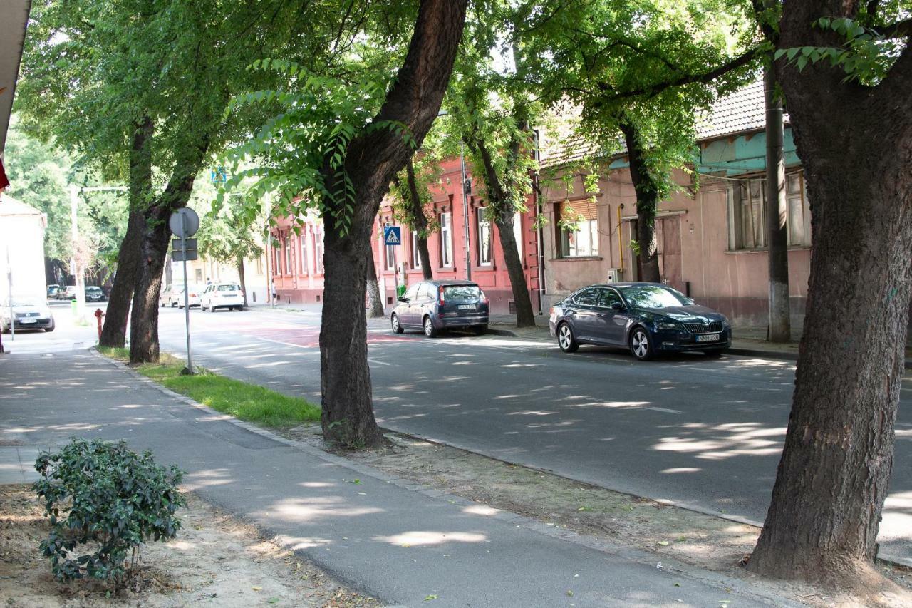 Cozy Flat In The Heart Of The City Oradea Exteriör bild